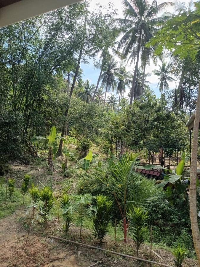 Chom Suan Farmstay Ko Kut Kültér fotó
