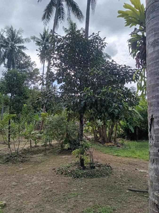 Chom Suan Farmstay Ko Kut Kültér fotó