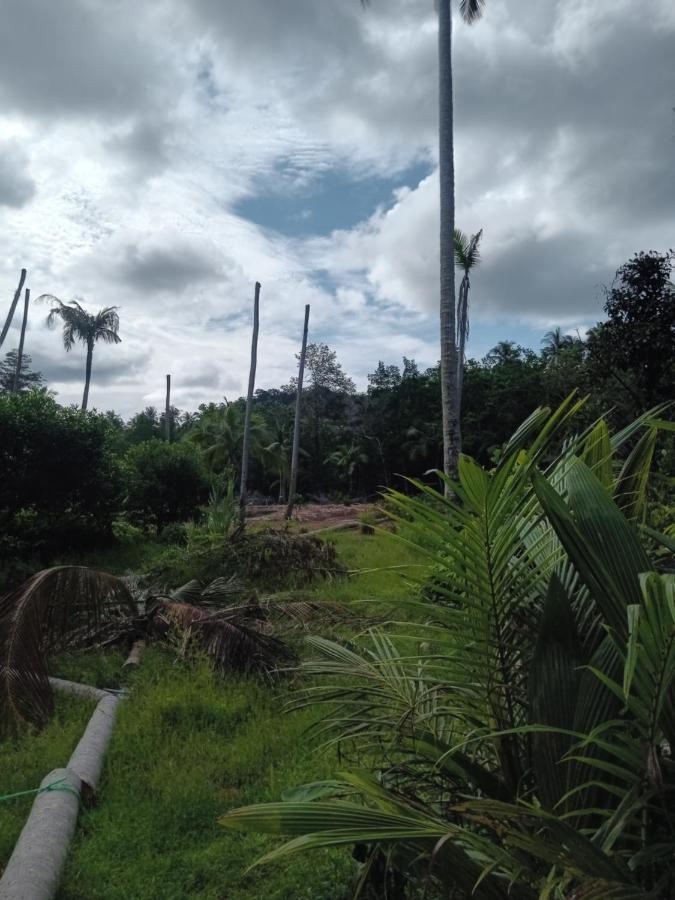 Chom Suan Farmstay Ko Kut Kültér fotó