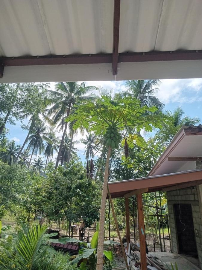 Chom Suan Farmstay Ko Kut Kültér fotó