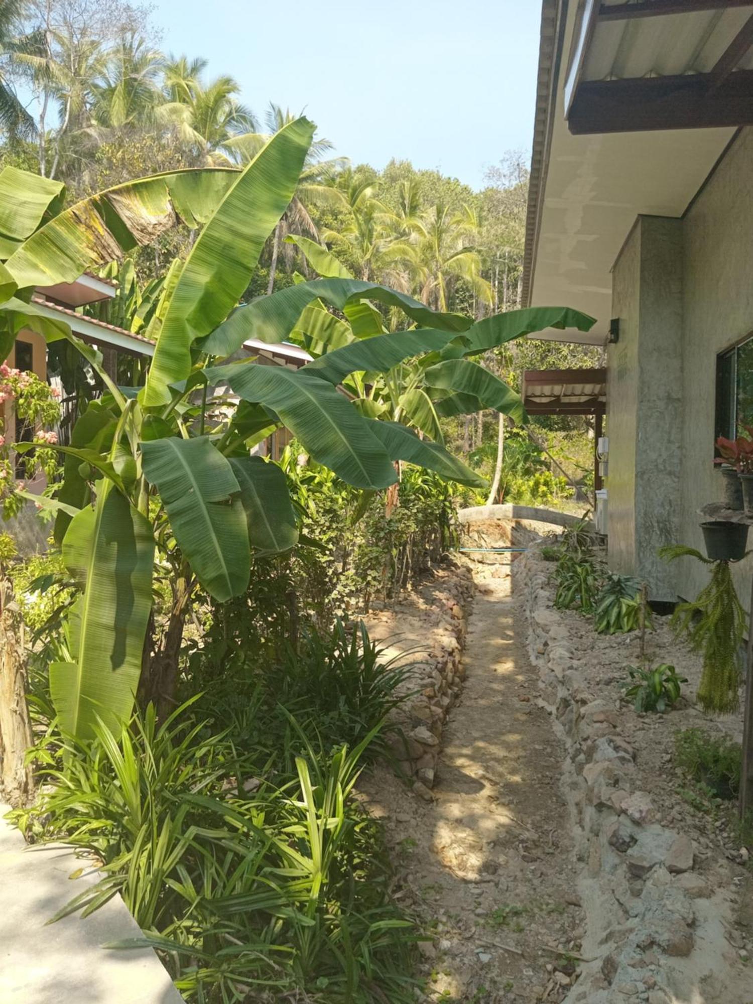 Chom Suan Farmstay Ko Kut Kültér fotó
